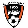 https://img.ythjsq.com/img/football/team/488370880779534e48b5b2d5243fb6f6.png